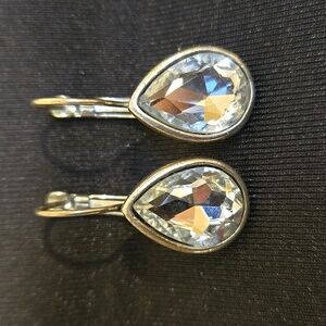 Silver Tone Earring w/Sparkly Faceted Inset